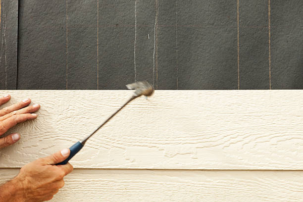 Best Vinyl Siding Installation  in Sandwich, IL